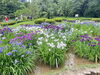 四季折々の花々が咲く美しい庭園「雨上がりの花さんぽと、サロンでのリフレッシュ時間」