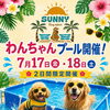 わんちゃんプール開催！