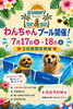 この夏、愛犬と水遊び体験いかがですか？「わんちゃんプール開催！」