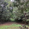 週末の朝