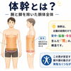 今さら聞けない「体幹」って、一体どこのこと？