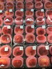 「夏のフルーツ勢ぞろい！桃・すいか・サンゴールドキウイ入荷しました♪」