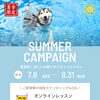 ＼SUMMER CAMPAIGNのご案内🌊／