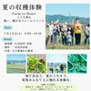 NO165 収穫祭🍆