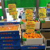 愛媛県産ハウスみかん入荷中！大切な方への贈り物にどうぞ🍊