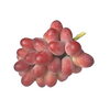 お中元に島根県産ぶどうはいかがですか🍇