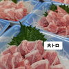 マグロ祭り！