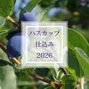 【千歳ワイナリー】ハスカップの仕込みが始まりました