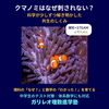 クマノミはなぜイソギンチャクに刺されない？｜科学が少しずつ解き明かした共生のひみつ