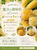 夏を味わう、彩よい調味料 Lesson「8月開催「夏の恵みを味わう 魔法の調味料Lesson」のご案内」
