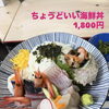 📖保存版📌酒市水産部メニューの一覧✨