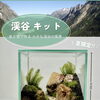 夏だけの新商品！「小さな渓谷キット」入荷しました