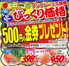 「【お得な2日間】500円金券プレゼント＆びっくり価格の特別セール開催！｜枚方ビオルネ地下1階　新鮮果実 日野屋」