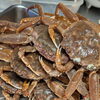 【魚も酒も自ら厳選する瑞江の小料理屋】 