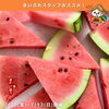 7/10〜12開催！まいぷれスタッフ厳選・今週末の徳島イベント8選