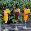 彩り豊かなドリンクで特別なひとときを🍹
