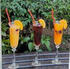 「彩り豊かなドリンクで特別なひとときを🍹」