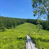 入笠山、湿原から広がる大パノラマ