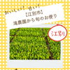 【江別市】滝農園から旬のお便り｜味来（みらい）の栽培が始まりました