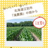 北海道江別市「滝農園」の畑から｜旬の味来を育てる日々