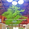 【船橋市】一般見学も可能。7月18日、金蔵寺で執り行われる仏事「お施餓鬼」のご案内