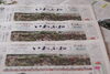 「【サンデーいわふね】7月12日号の主な内容は…」