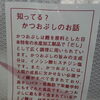 知っていましたか？🐟