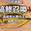 鯵の王様！縞鯵入荷