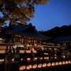一年で最もご利益のある日/静岡の水槽レンタルとプロデュースはアクアデザインブルース/静岡県のイベント/