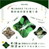 鳴く虫の女王「カンタン」と秋の虫の音を聴く会🎵参加費無料！持ち物：虫よけスプレー、かゆみ止め！［2026年9月18日（金）西亀有せせらぎ公園 ・10月2日（金）青戸平和公園・18時30分〜20時］