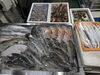 令和8年7月12日 店内「📣本日のお魚情報🐟」