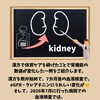 eGFR21.8→31に改善！将来の透析が心配だった76歳男性の腎機能を漢方でサポートした例