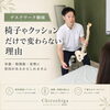 デスクワーク中の腰痛は、椅子やクッションだけでなく、骨盤・股関節・姿勢のバランスが関係している。「【草津市・南草津】デスクワークで腰が痛い方へ｜椅子やクッションだけで変わらない腰痛の原因」