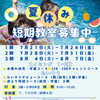 ハッピー鴨島☆夏休み短期教室2026