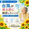 台風が来る前に確認したいこと！