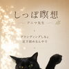 足元へ。 呼吸へ。 今ここへ。(和歌山市ソウルヒーリングスクール)