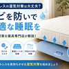 マットレスの湿気対策は大丈夫？カビを防いで長持ちさせる方法を寝具専門店が解説！