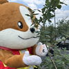 わん丸君参上！【犬山市観光農園　ブルーベリーポケット】