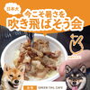 🐕🎐【日本犬オフ会 参加者募集中！】🎐🐕