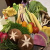 彩り豊かな野菜盛りと出汁しゃぶ、ワインと個室で楽しむ夜