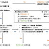 酸素不要の新型コロナ治療薬の選び方（2026年6月時点）