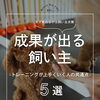 ＼トレーニングで成果が出る飼い主の特徴5選🏋️✨／