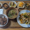 今週（7/14〜18）の大人ランチプレートのご案内