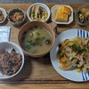 今週（7/14〜18）の大人ランチプレートのご案内