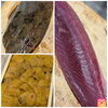 【魚も酒も自ら厳選する瑞江の小料理屋】 
