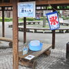 氷に触れるイベント「冷（つめ）たっち」を実施します！7月18日（土）～8月30日(日)