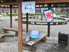 「氷に触れるイベント「冷（つめ）たっち」を実施します！7月18日（土）～8月30日(日)」