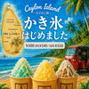 【柏市スパイスカレー／レストランアーユーボーワン】
