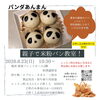 夏休み最後の賑わい！親子で食育体験「8/23(日)親子で楽しむ「パンダあんまん」米粉パン教室のお知らせ」