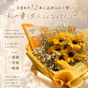 ひまわり12本の花束プロポーズ・記念日に